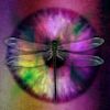 DesignerImg