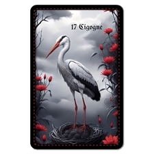 Playing Cards