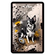 Playing Cards