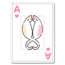 Playing Cards