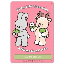 Playing Cards