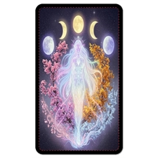 Playing Cards
