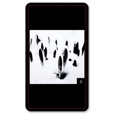 Playing Cards