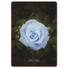 Playing Cards
