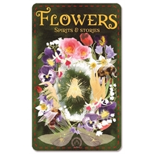 Playing Cards