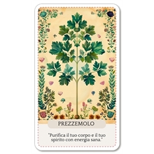 Playing Cards