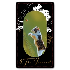 Playing Cards