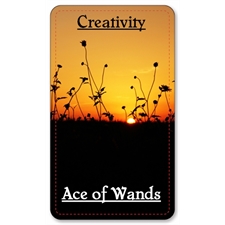 Playing Cards