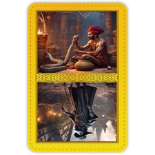 Playing Cards