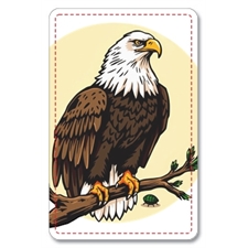 Playing Cards