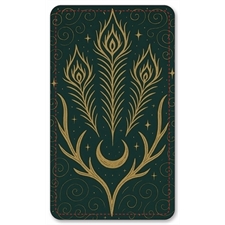 Playing Cards