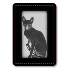 Playing Cards