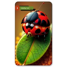 Playing Cards