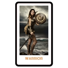 Playing Cards