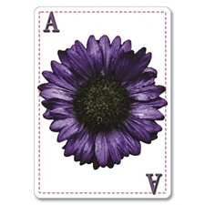 Playing Cards