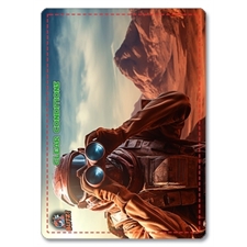 Playing Cards