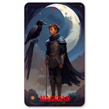 Playing Cards