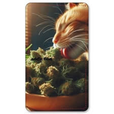 Playing Cards