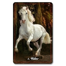 Playing Cards