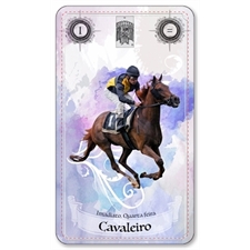 Playing Cards