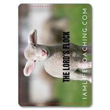Playing Cards