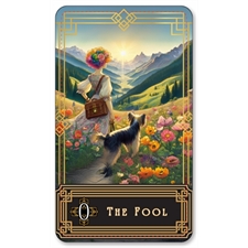 Playing Cards