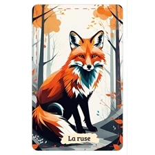 Playing Cards