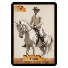 Playing Cards