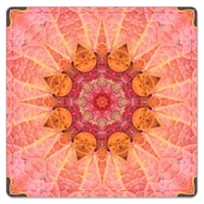 Playing Cards