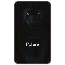 Playing Cards