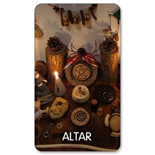 Playing Cards