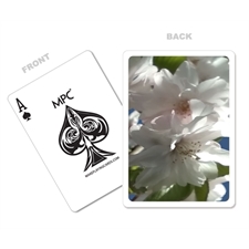 Playing Cards