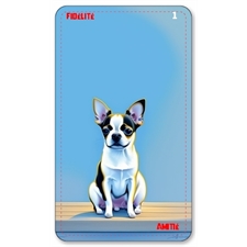 Playing Cards
