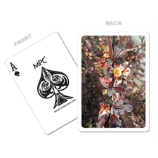 Playing Cards