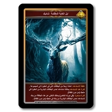 Playing Cards