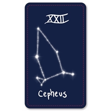 Playing Cards