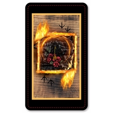 Playing Cards