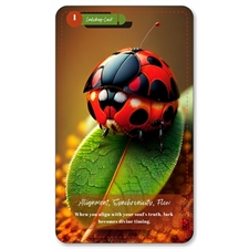 Playing Cards