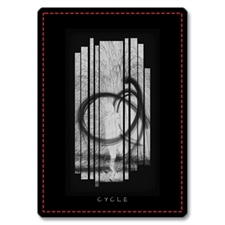 Playing Cards