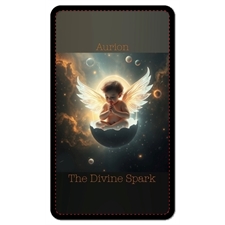 Playing Cards