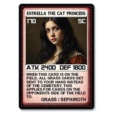 Playing Cards