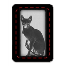 Playing Cards