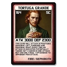 Playing Cards