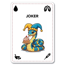 Playing Cards