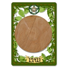 Playing Cards