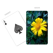 Playing Cards