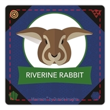 Playing Cards