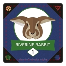 Playing Cards