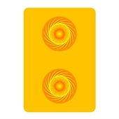 Playing Cards