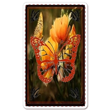 Playing Cards